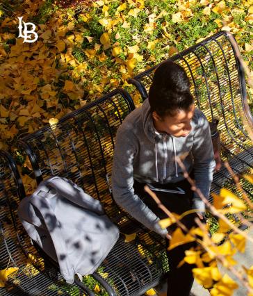 Student sits on bench, while surrounded by trees and colorful leaves on the ground. 
